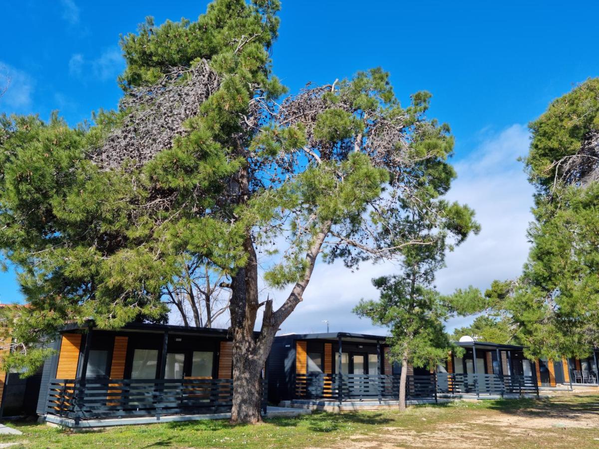 K9 Mobile Home Camp Dalmacija Privlaka Privlaka  Bagian luar foto