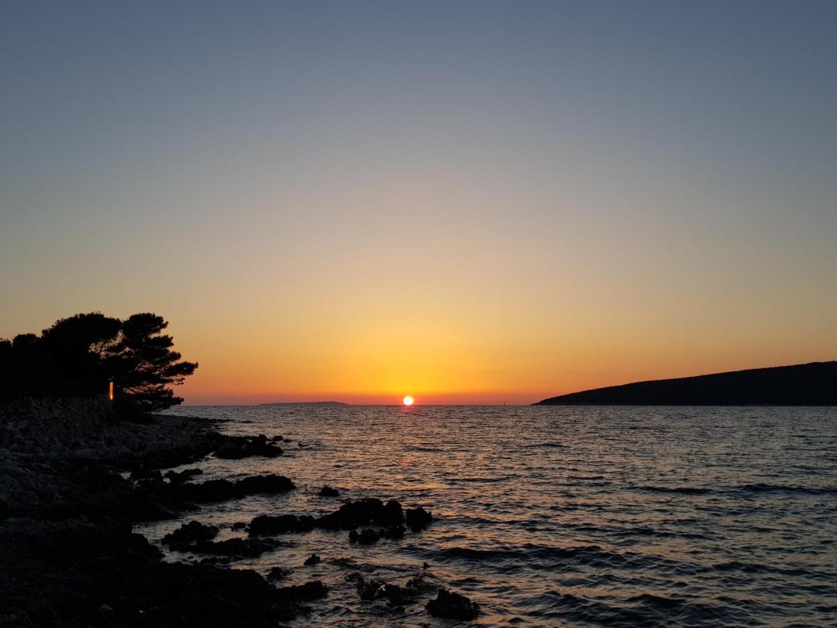K9 Mobile Home Camp Dalmacija Privlaka Privlaka  Bagian luar foto
