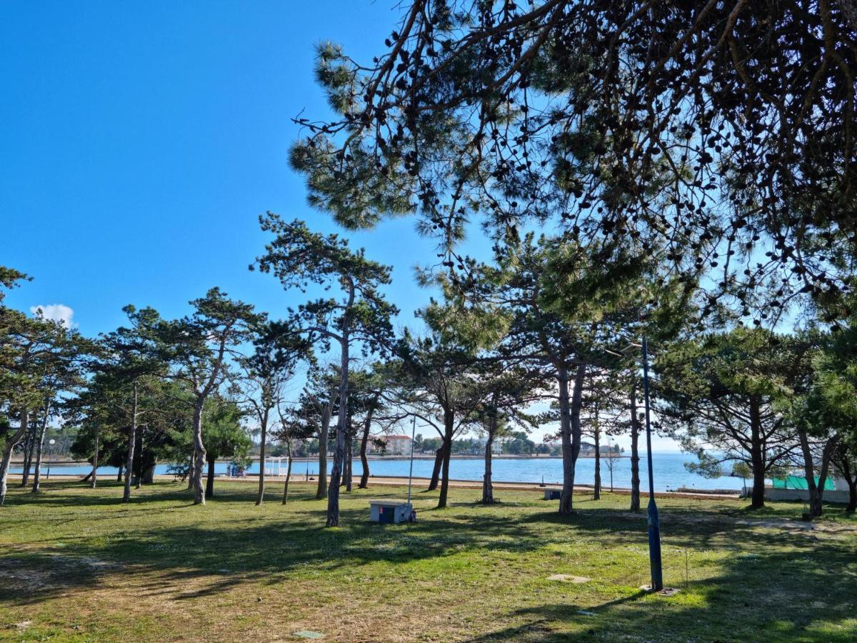 K9 Mobile Home Camp Dalmacija Privlaka Privlaka  Bagian luar foto