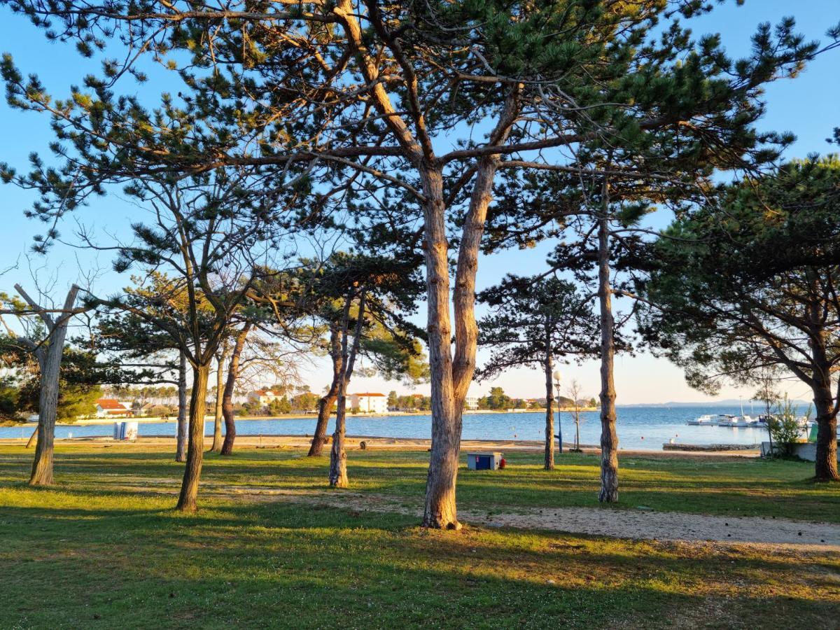 K9 Mobile Home Camp Dalmacija Privlaka Privlaka  Bagian luar foto