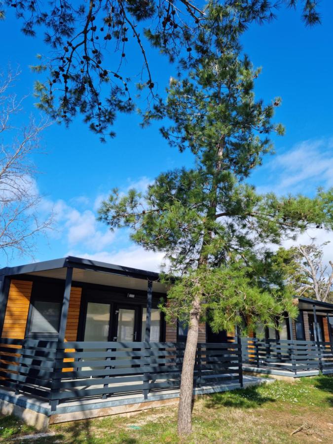 K9 Mobile Home Camp Dalmacija Privlaka Privlaka  Bagian luar foto